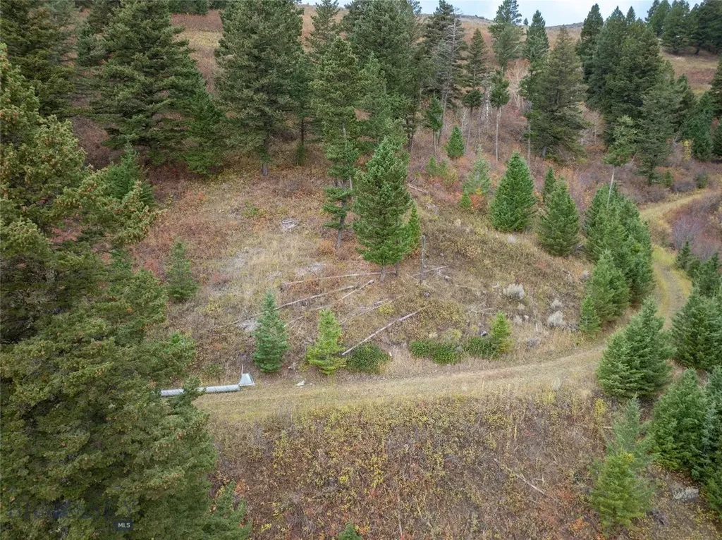 20 Ac Alpine Springs Trail Livingston MT 59047
