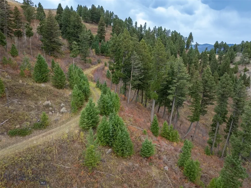 20 Ac Alpine Springs Trail Livingston MT 59047