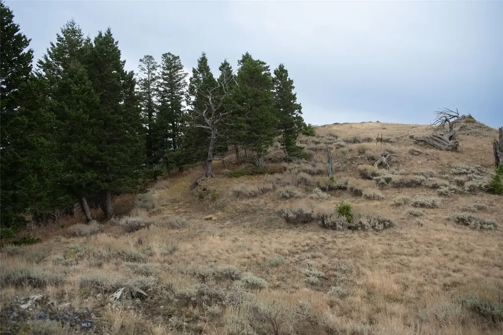 20 Ac Alpine Springs Trail Livingston MT 59047