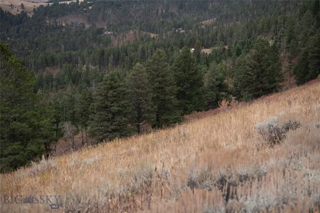 20 Ac Alpine Springs Trail Livingston MT 59047