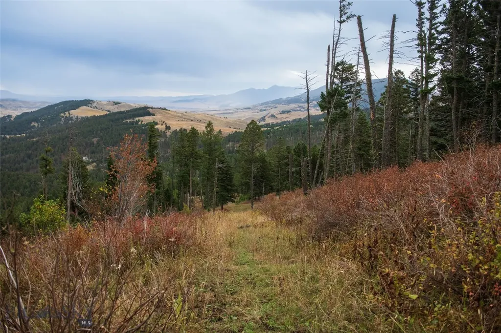 20 Ac Alpine Springs Trail Livingston MT 59047