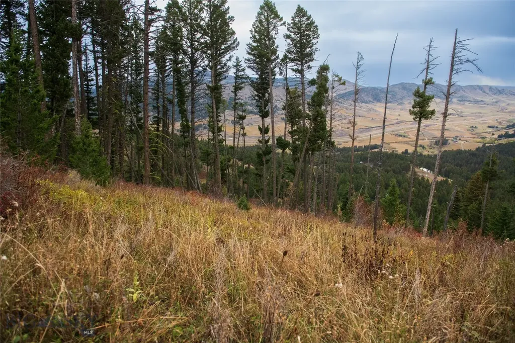 20 Ac Alpine Springs Trail Livingston MT 59047
