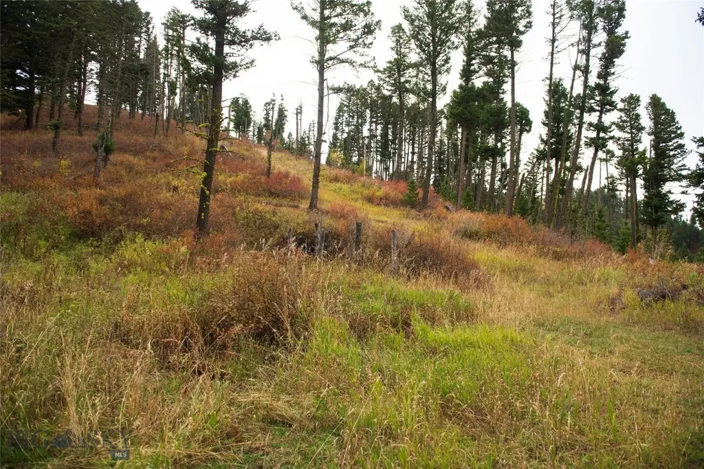 20 Ac Alpine Springs Trail Livingston MT 59047