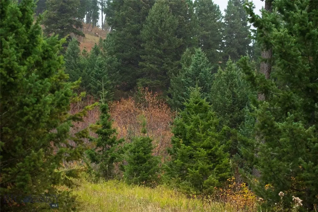 20 Ac Alpine Springs Trail Livingston MT 59047