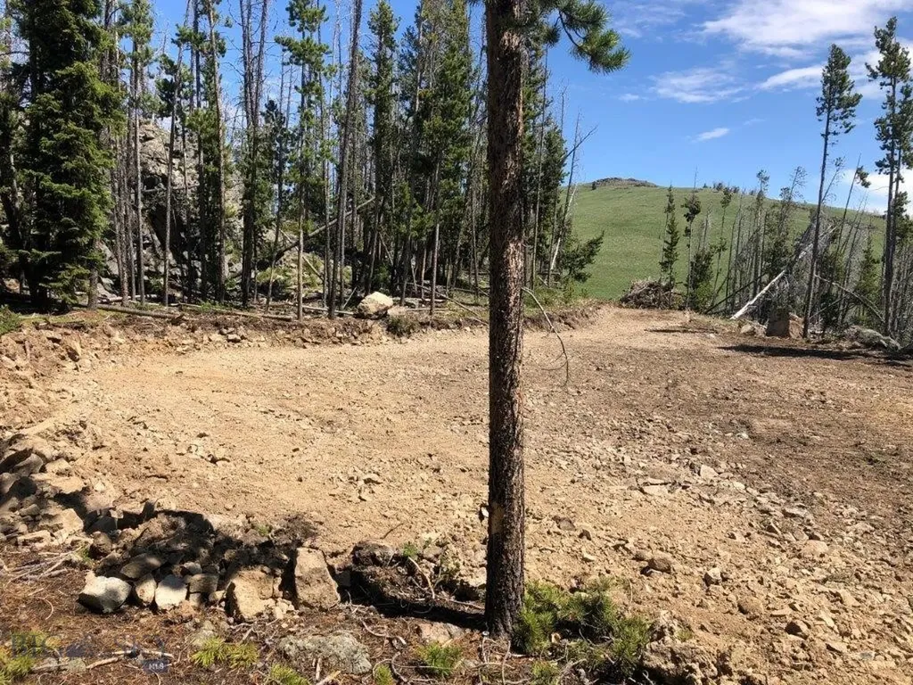 Tbd Indian Creek Road Townsend MT 59604