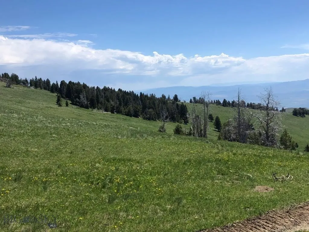 Tbd Indian Creek Road Townsend MT 59604