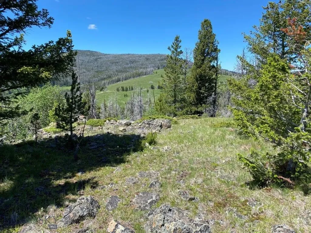 Tbd Indian Creek Road Townsend MT 59604