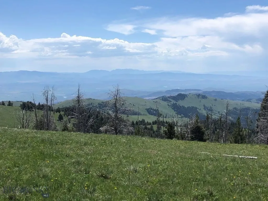 Tbd Indian Creek Road Townsend MT 59604