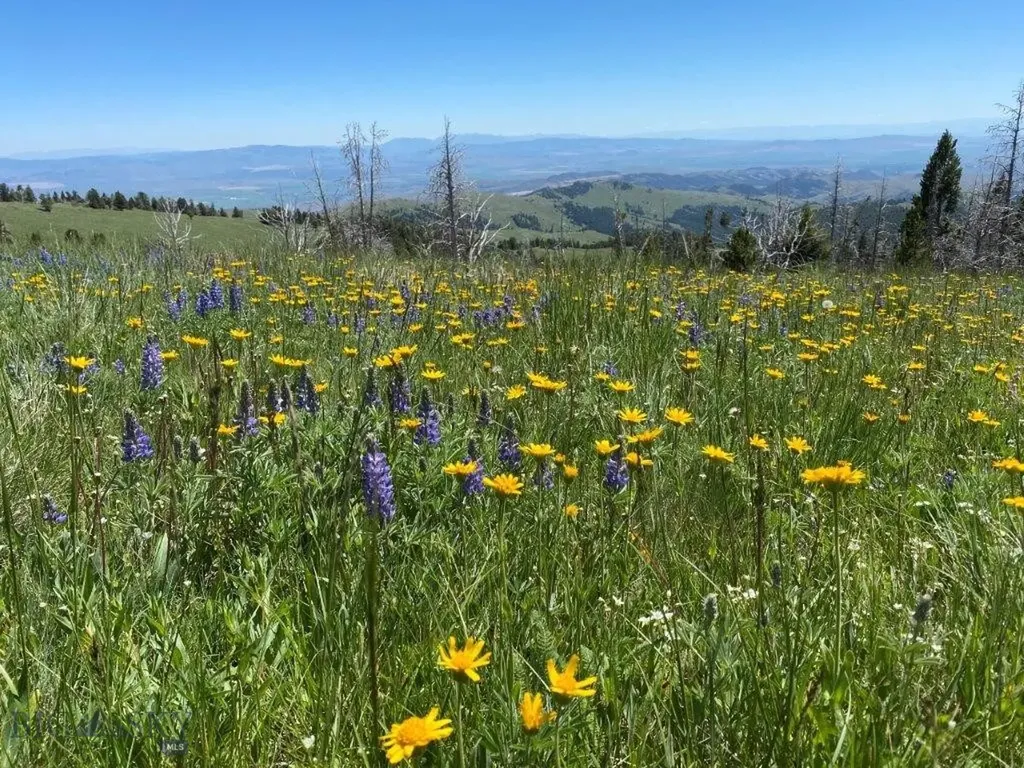 Tbd Indian Creek Road Townsend MT 59604