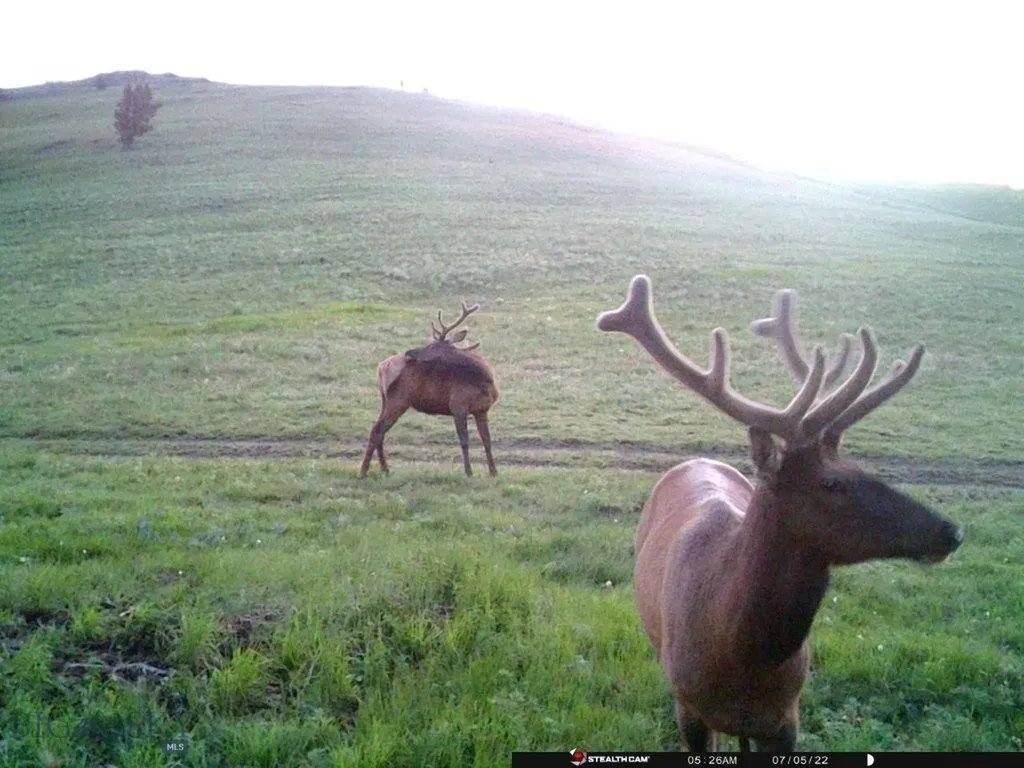Tbd Indian Creek Road Townsend MT 59604