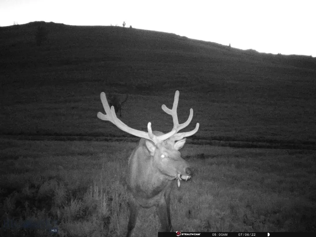 Tbd Indian Creek Road Townsend MT 59604