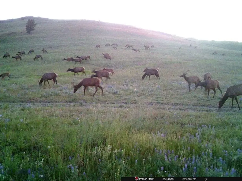 Tbd Indian Creek Road Townsend MT 59604