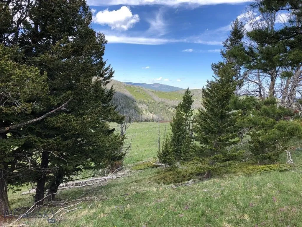 Tbd Indian Creek Road Townsend MT 59604