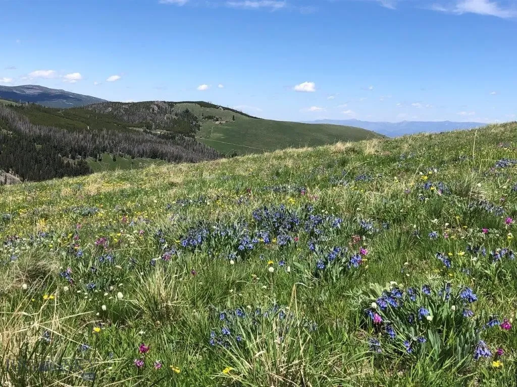 Tbd Indian Creek Road Townsend MT 59604