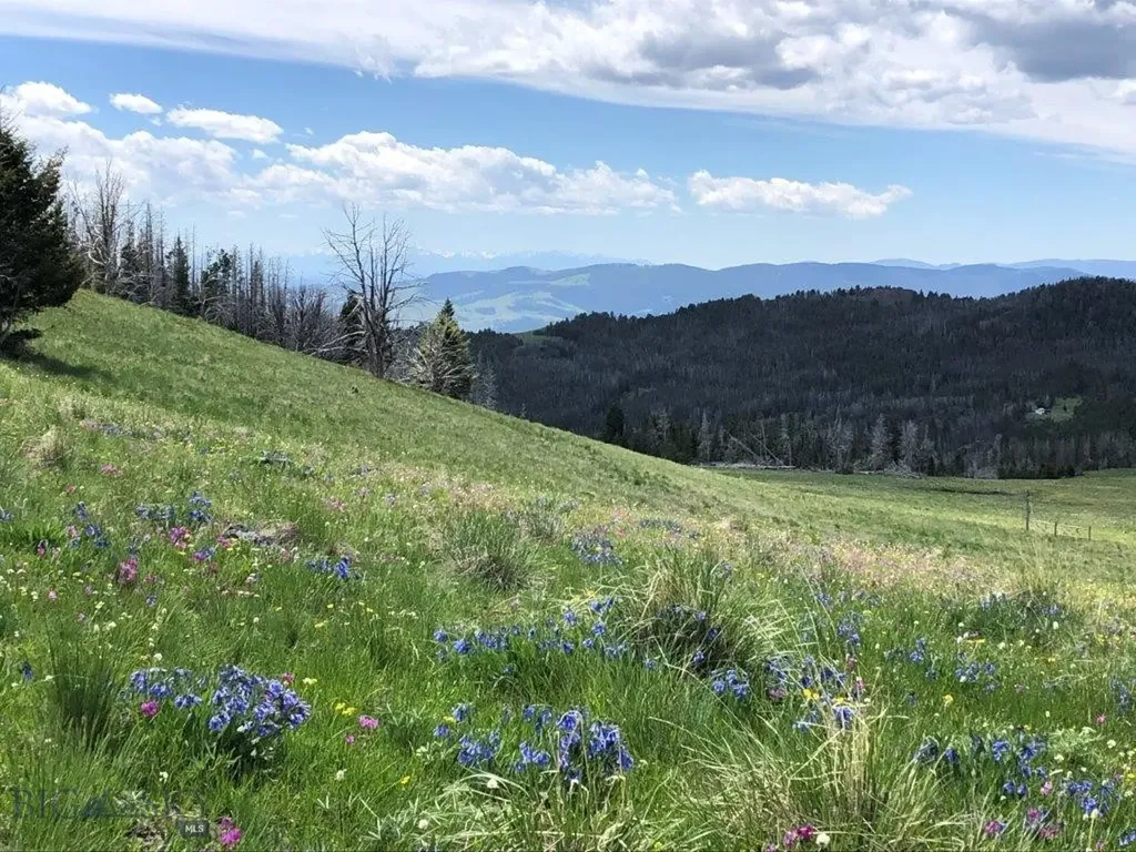 Tbd Indian Creek Road Townsend MT 59604