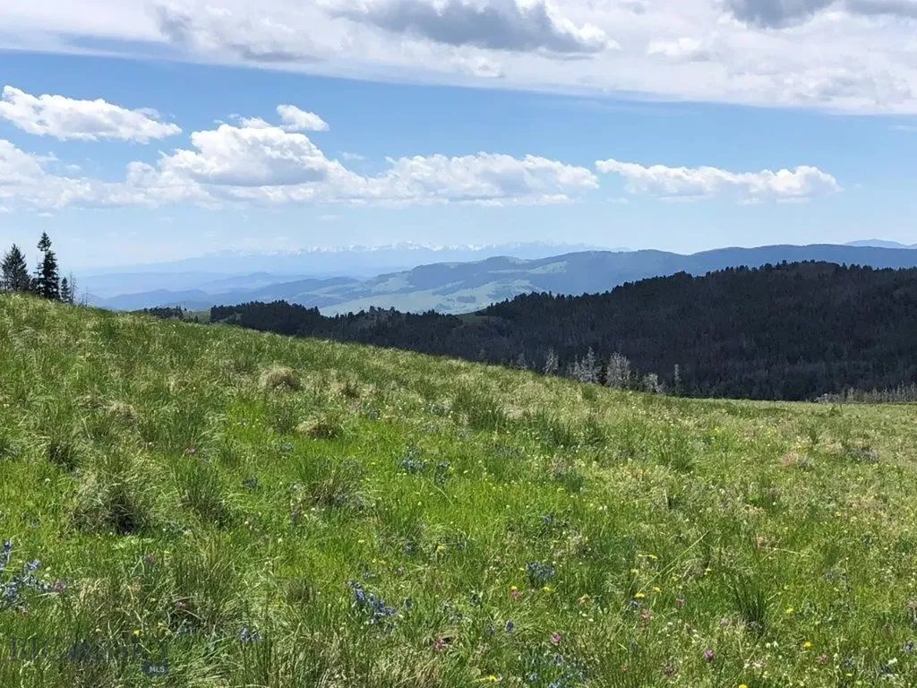 Tbd Indian Creek Road Townsend MT 59604