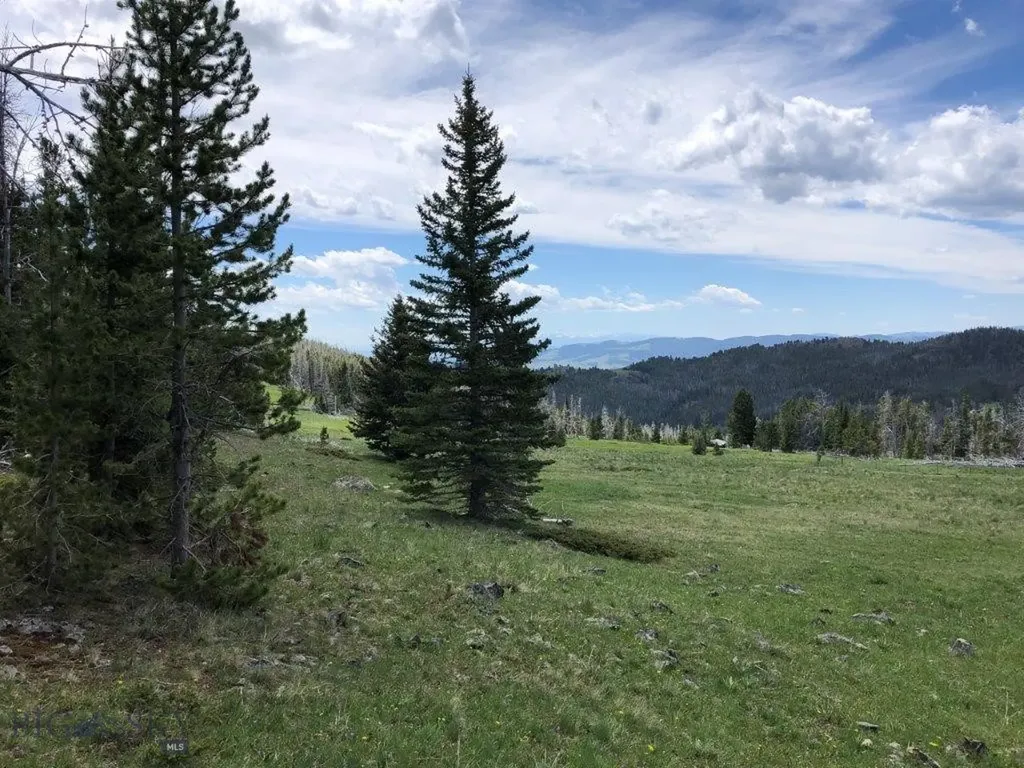 Tbd Indian Creek Road Townsend MT 59604