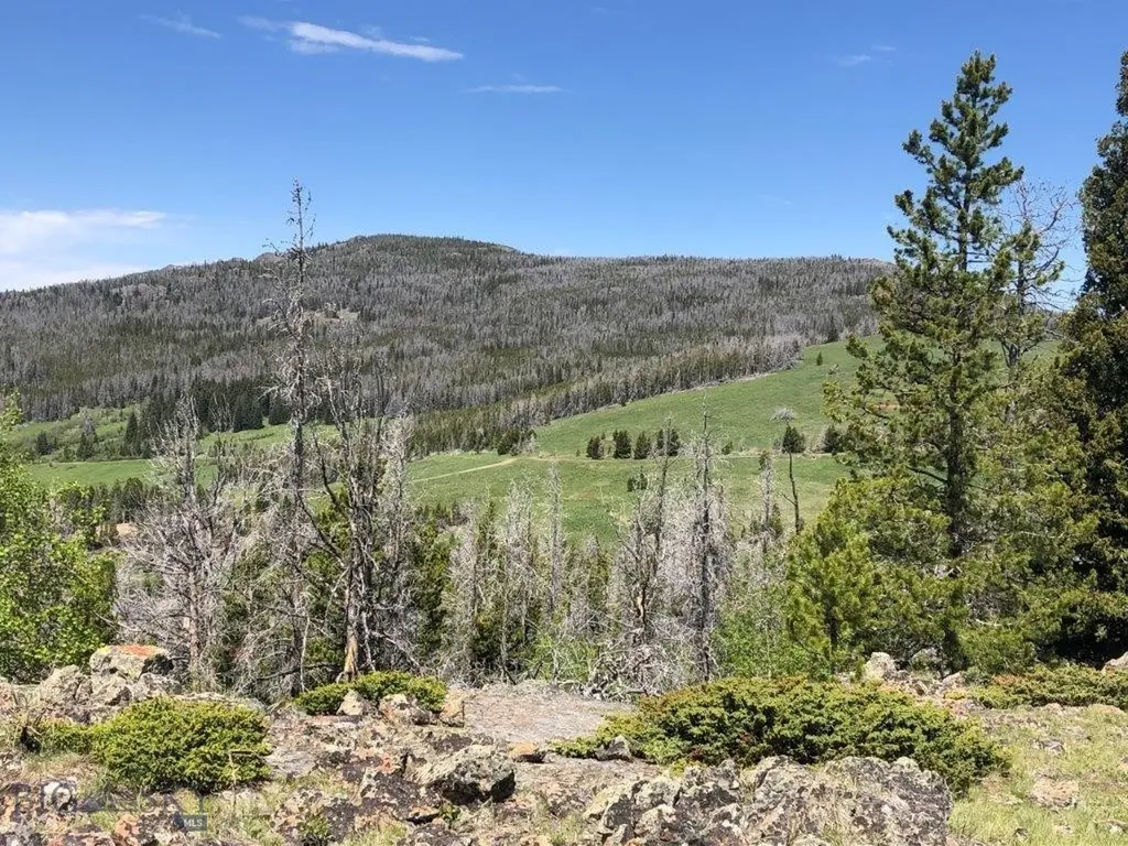 Tbd Indian Creek Road Townsend MT 59604