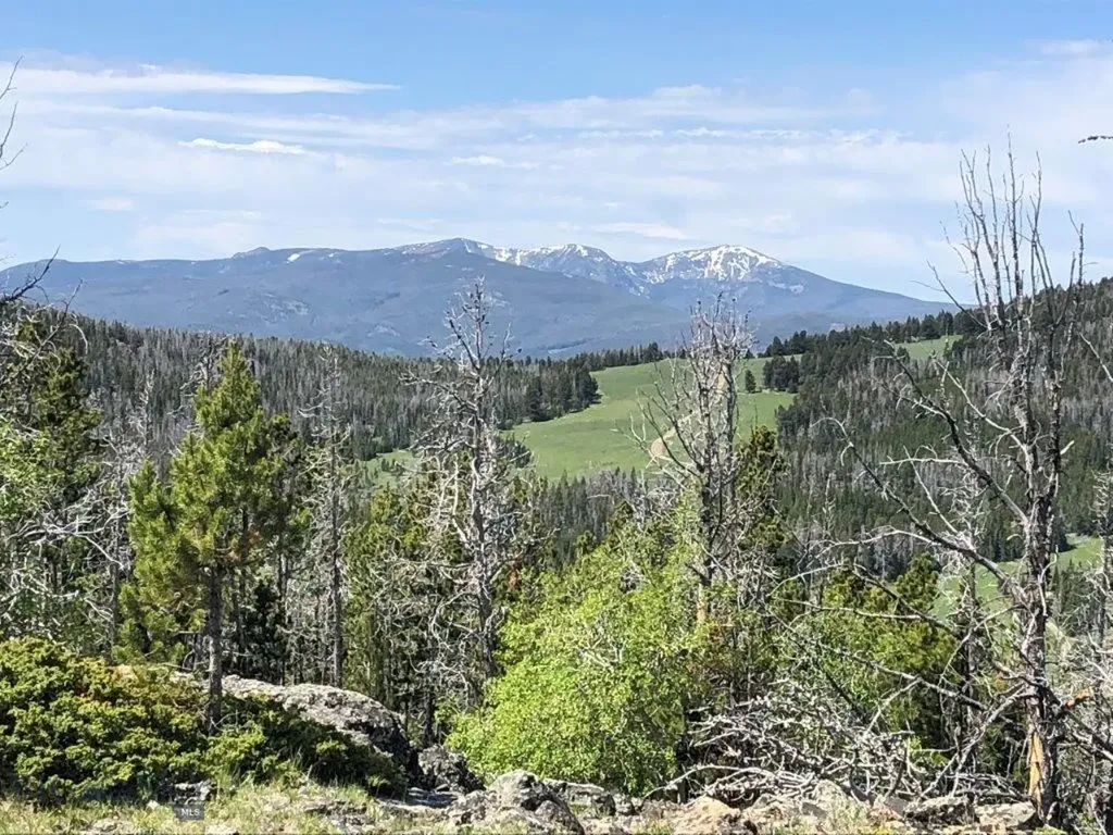 Tbd Indian Creek Road Townsend MT 59604