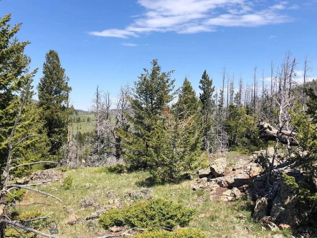 Tbd Indian Creek Road Townsend MT 59604