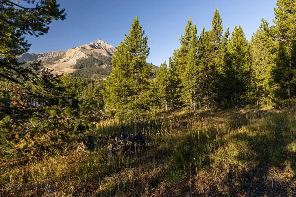 Tbd Little Wolf Big Sky MT 59716