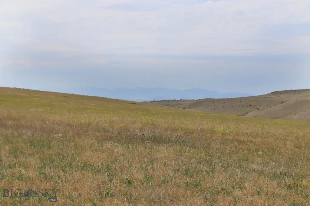 Lot 168 Tbd Blue Bonnet Manhattan MT 59741