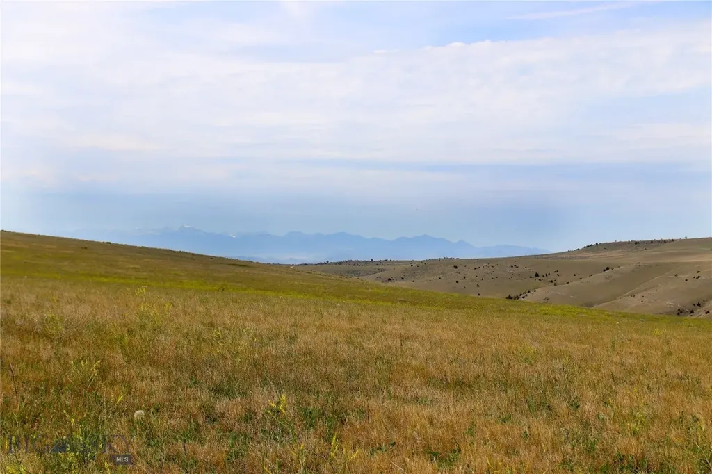 Lot 168 Tbd Blue Bonnet Manhattan MT 59741