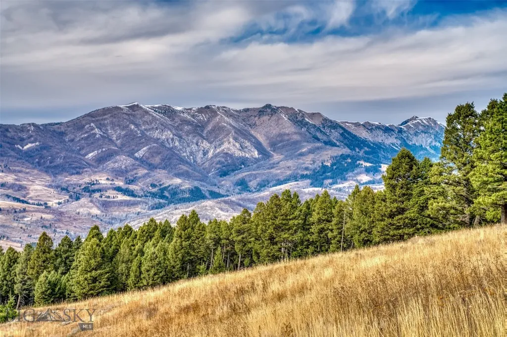 303 Sled Run Road Bozeman MT 59715
