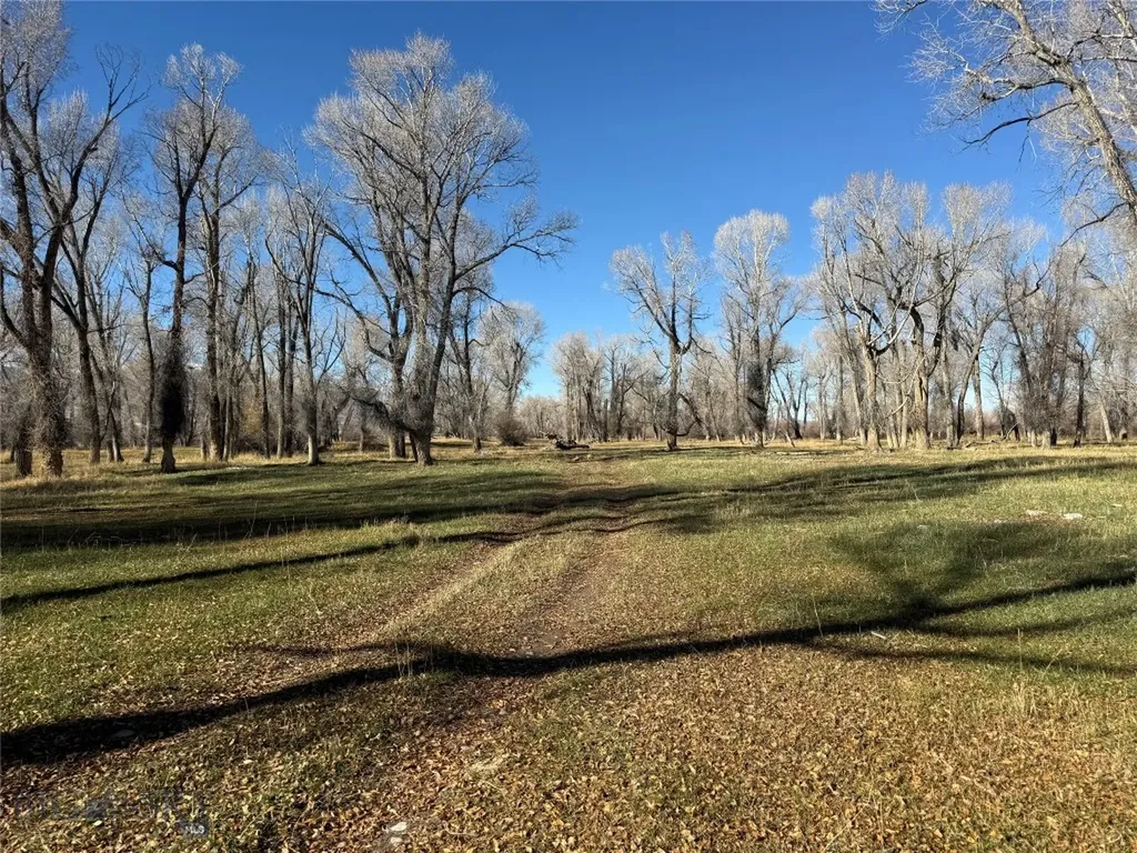 Dillon MT 59725