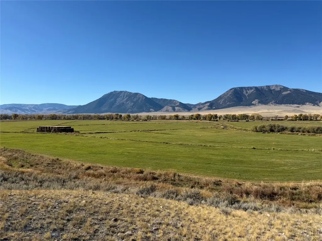 Dillon MT 59725