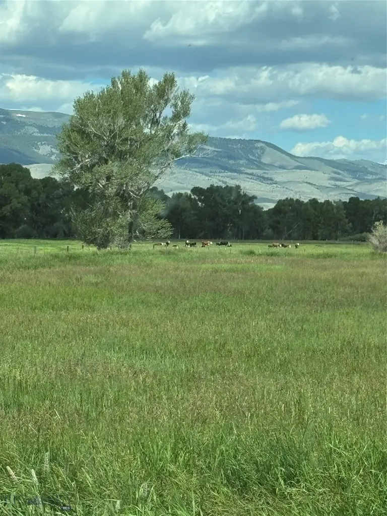 Dillon MT 59725