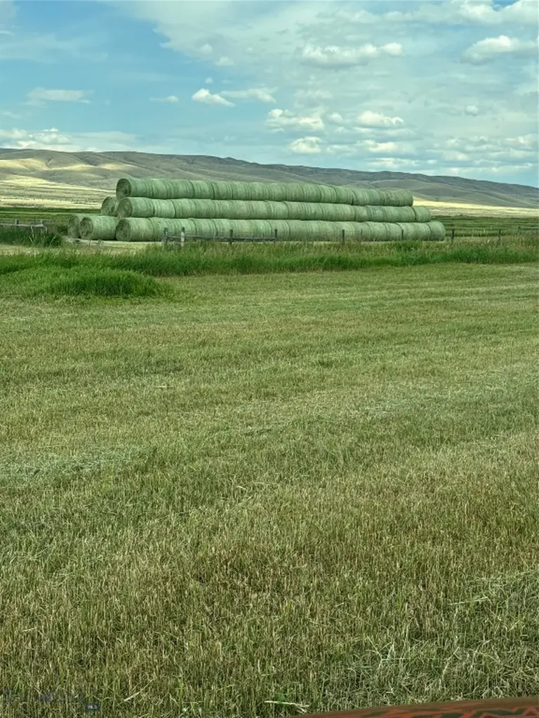 Dillon MT 59725