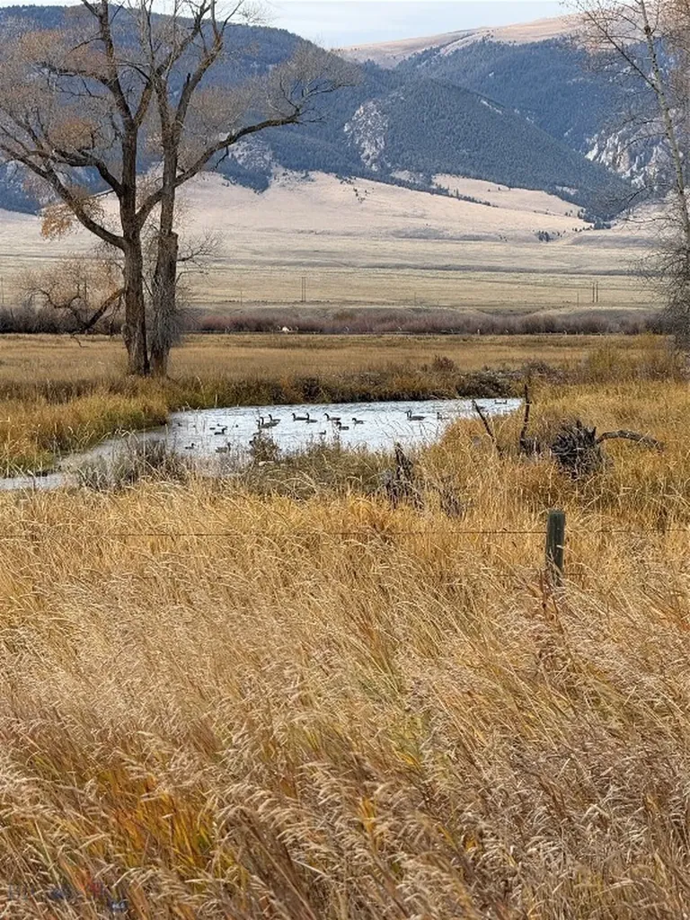 Dillon MT 59725