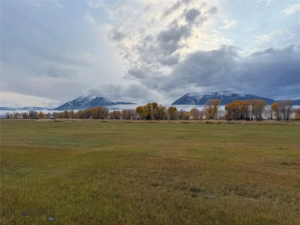 Dillon MT 59725