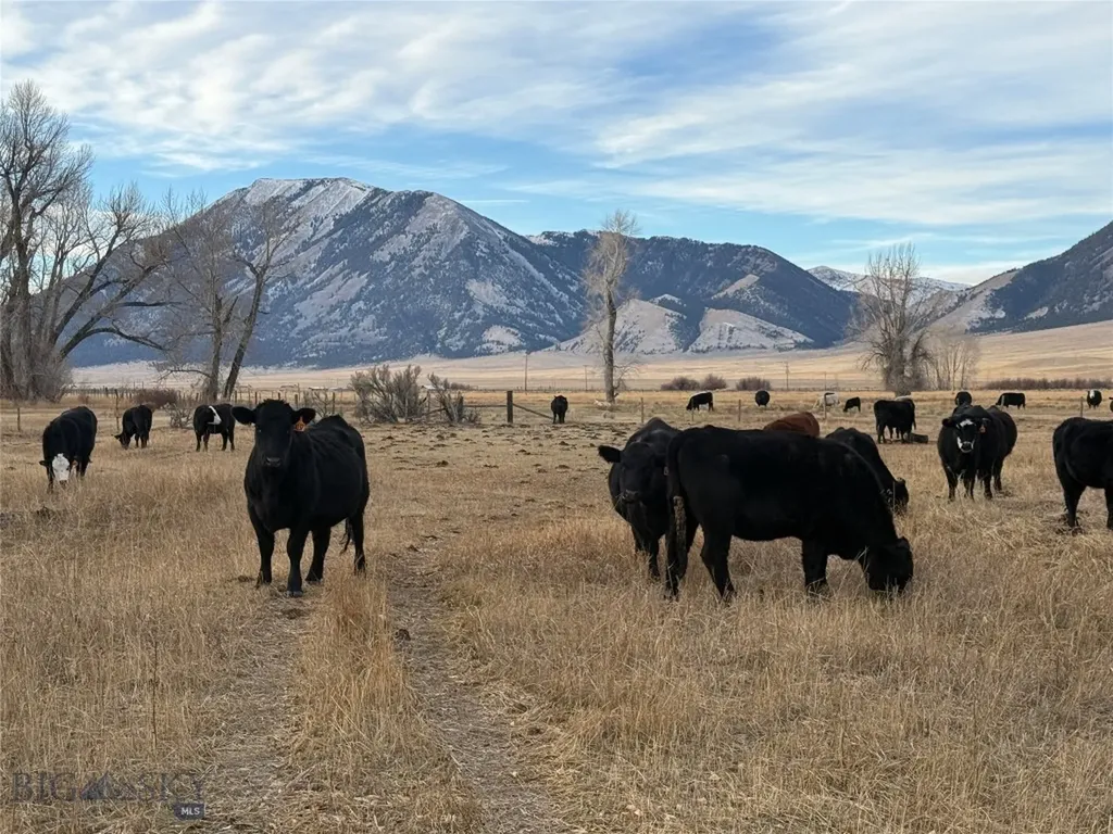 Dillon MT 59725