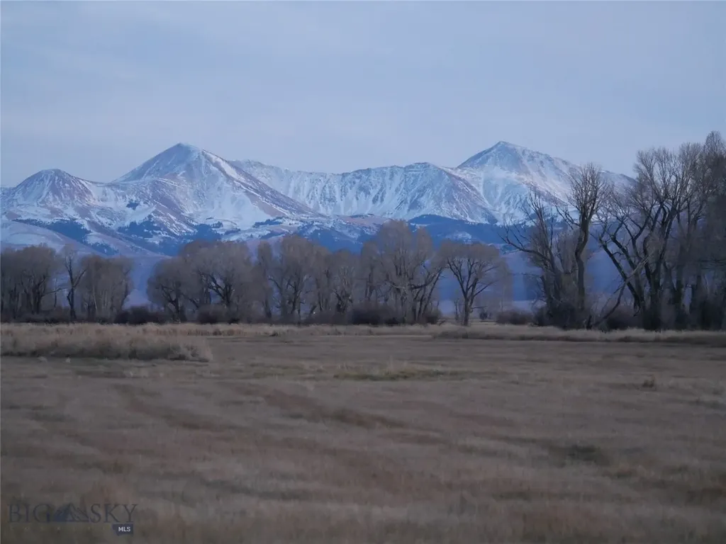 Dillon MT 59725