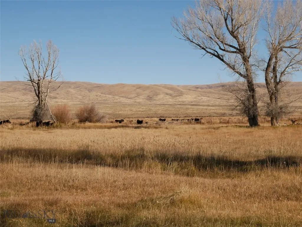 Dillon MT 59725