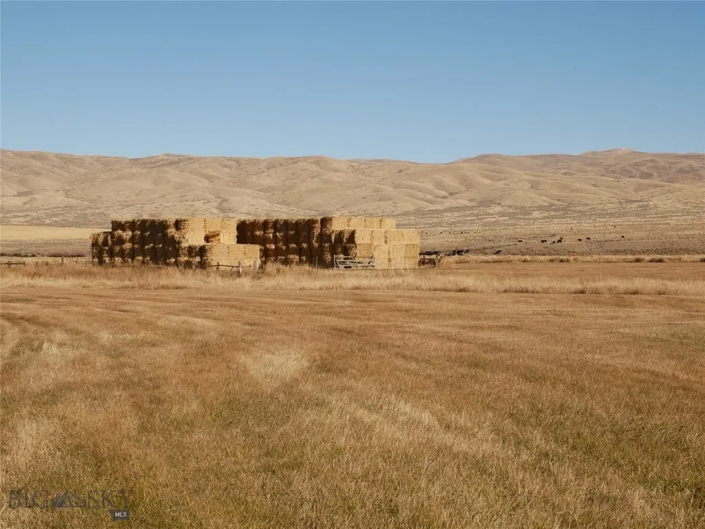 Dillon MT 59725