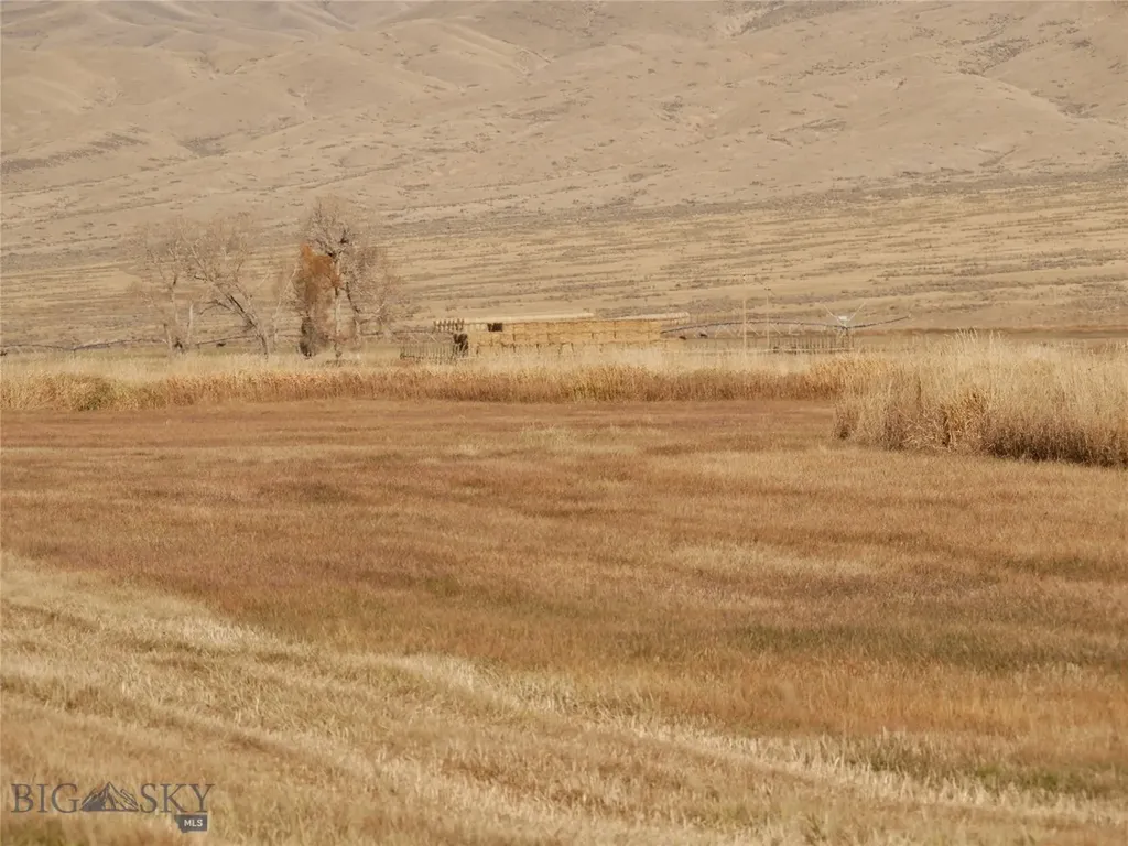Dillon MT 59725