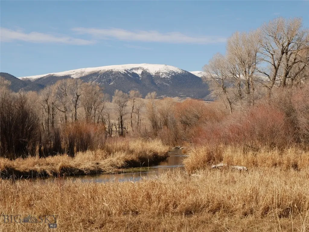 Dillon MT 59725
