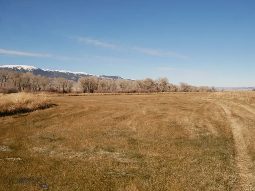 Dillon MT 59725