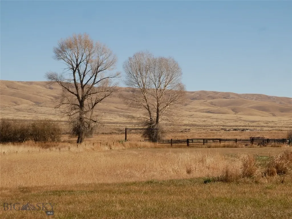 Dillon MT 59725