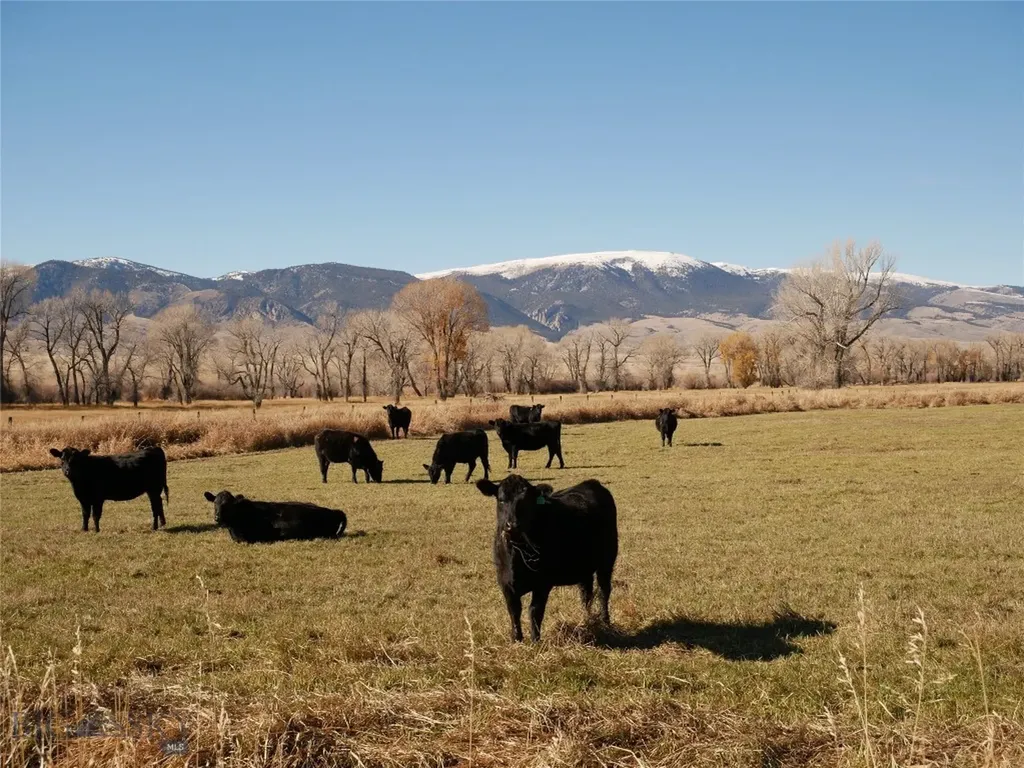 Dillon MT 59725