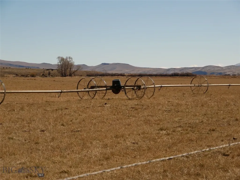 Dillon MT 59725