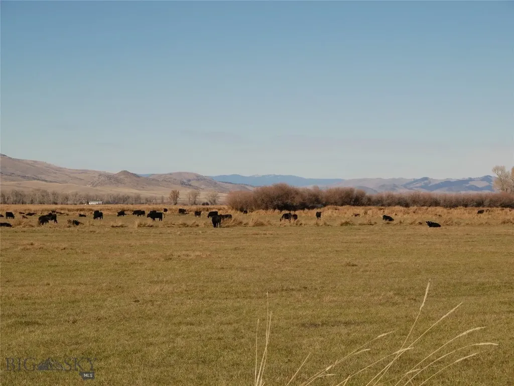 Dillon MT 59725
