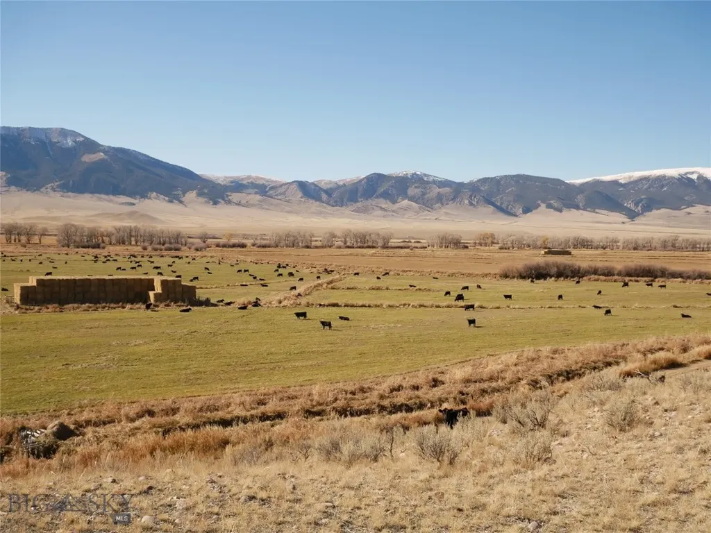 Dillon MT 59725