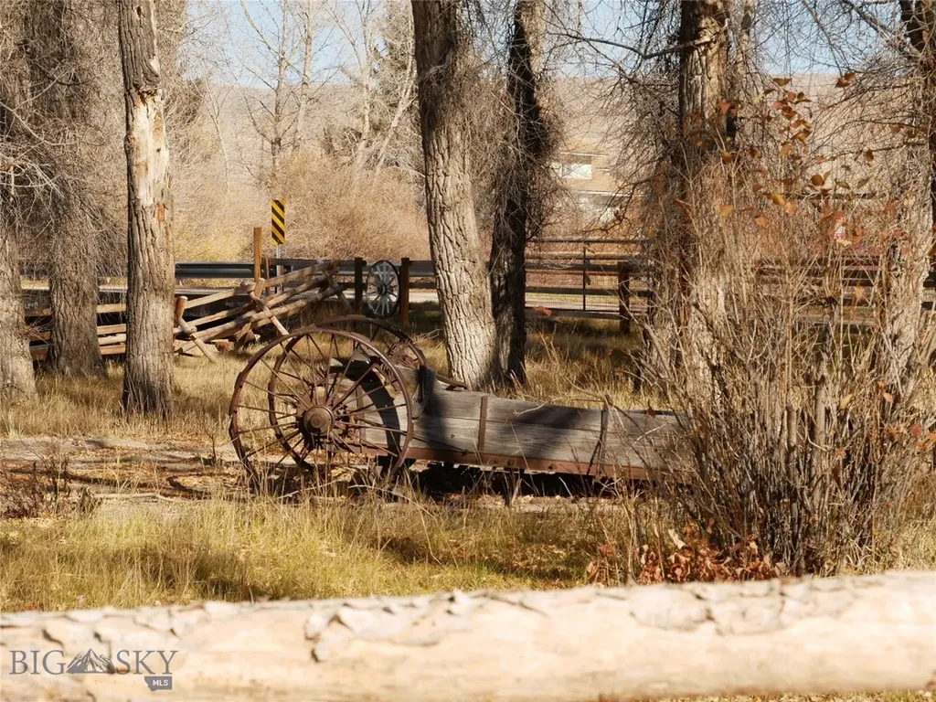 Dillon MT 59725