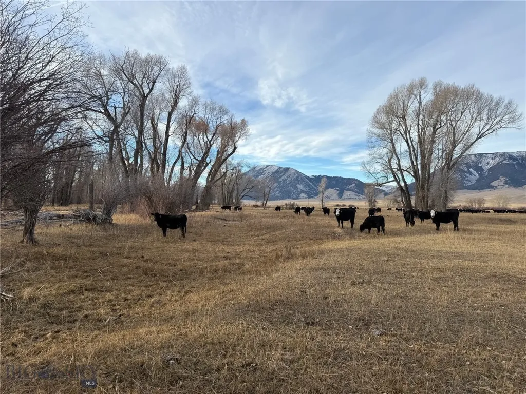 Dillon MT 59725