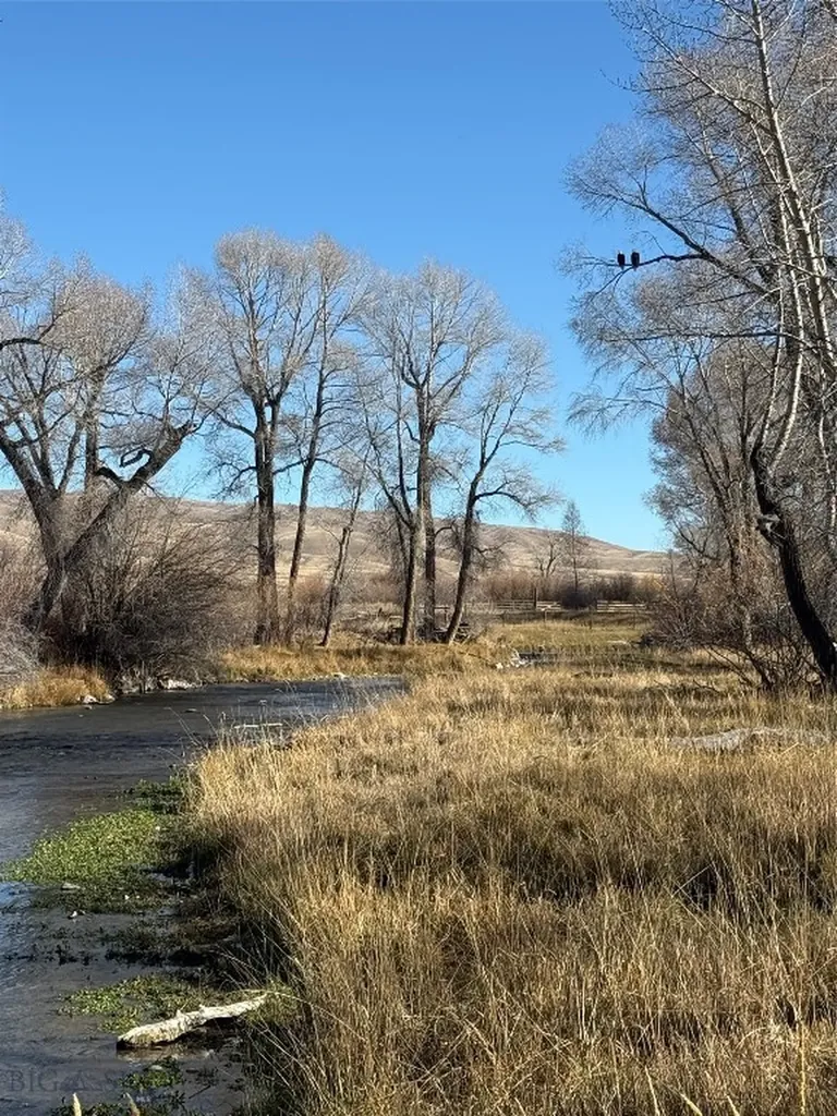 Dillon MT 59725