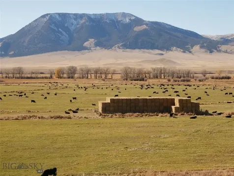 Dillon MT 59725